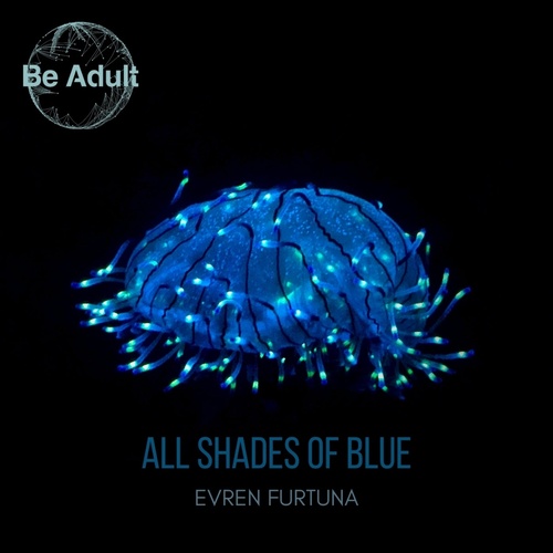 Evren Furtuna - All Shades of Blue [210]